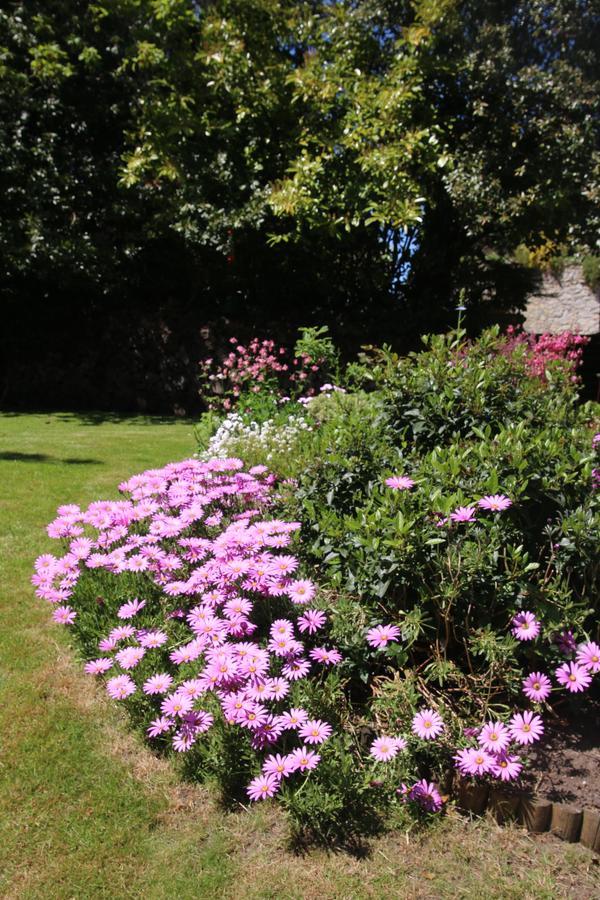 Bed & Breakfast Bedford